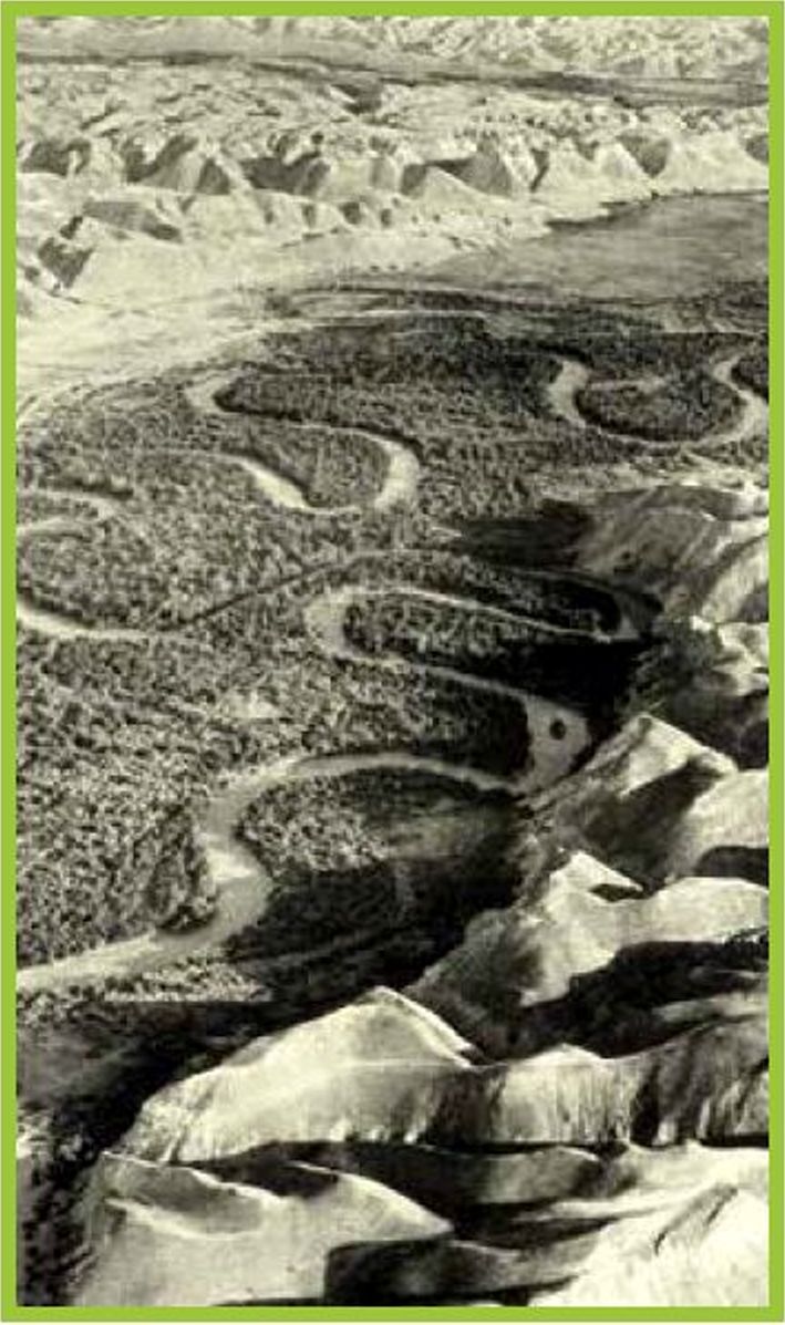 תמונה של גאון הירדן